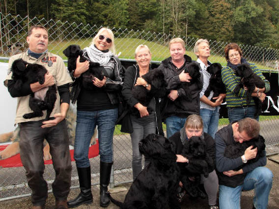 Welpen-Besuchstag